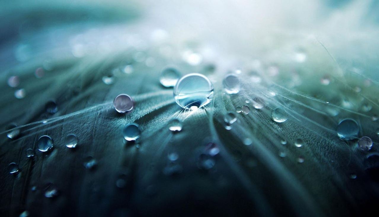 Regenwasser